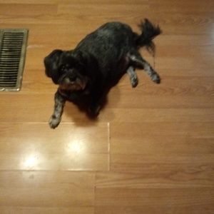 Meet your Posher, Nancy